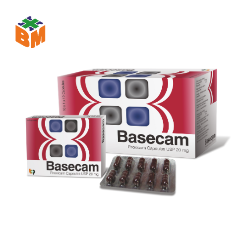 BASECAM CAPSULE